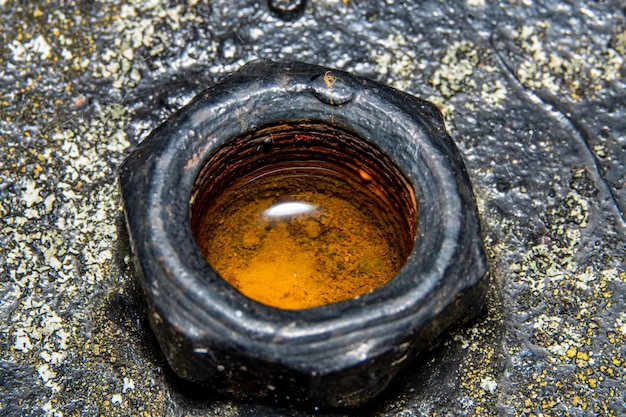 A close up of a nut with a drop of water on it