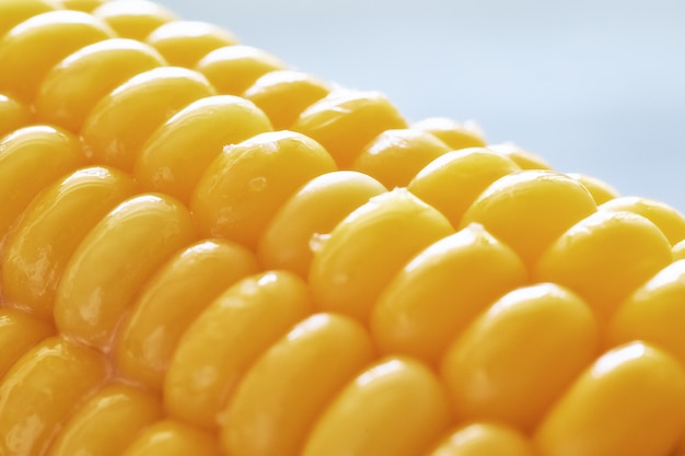 Close-up on oiled corn on the cob