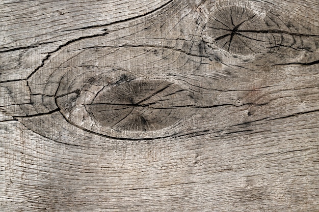 Close-up of old wood texture