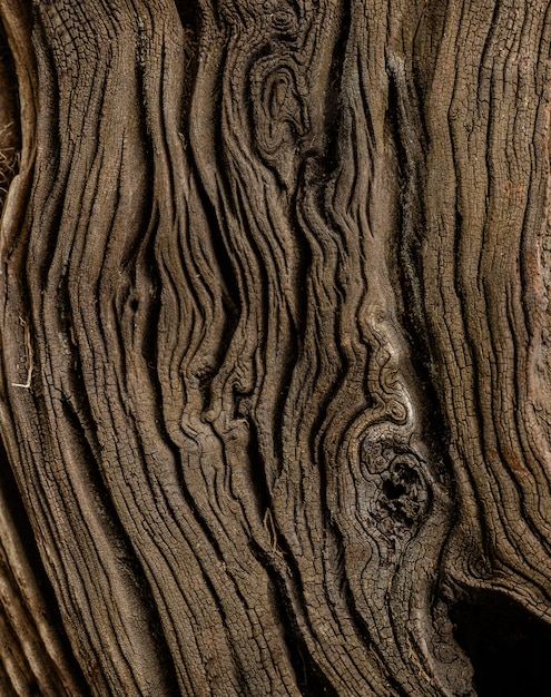 Close up old wood texture