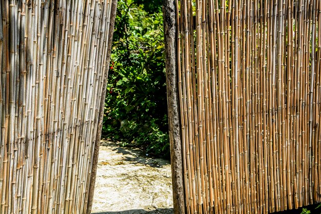 Photo close-up of open bamboo gate in village