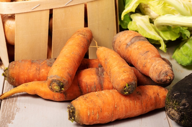 Close-up of organic carrots of the garden