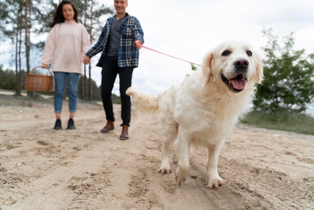 Close up people walking with dog outdoors