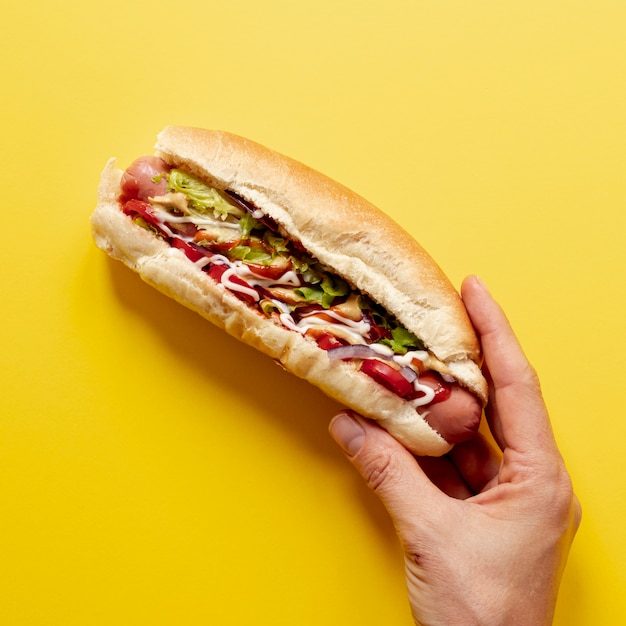 Close-up person holding hot dog