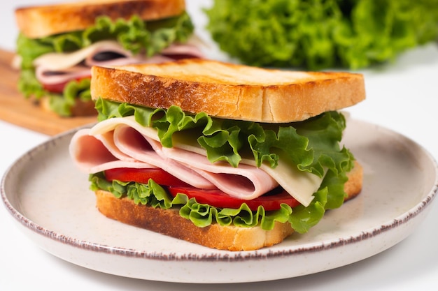 Close-up photo of an American club sandwich. Fast food concept.