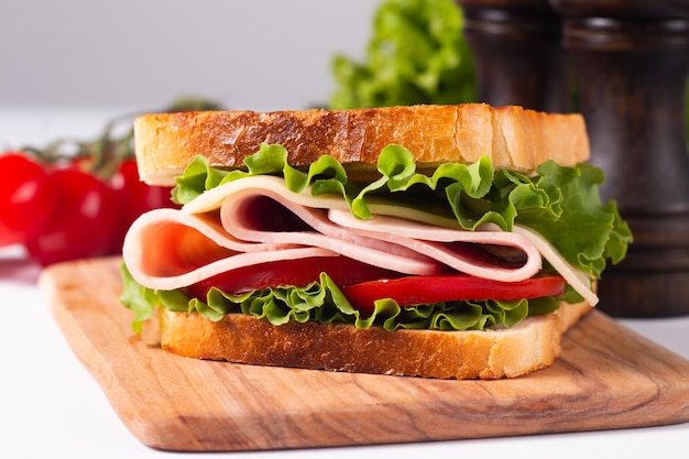 Close-up photo of an American club sandwich. Fast food concept.