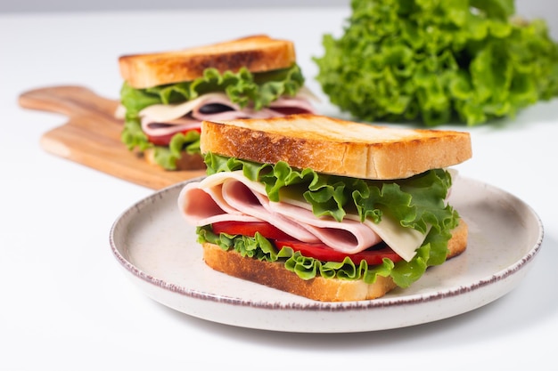 Close-up photo of an American club sandwich. Fast food concept.