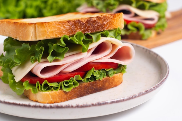 Close-up photo of an American club sandwich. Fast food concept.