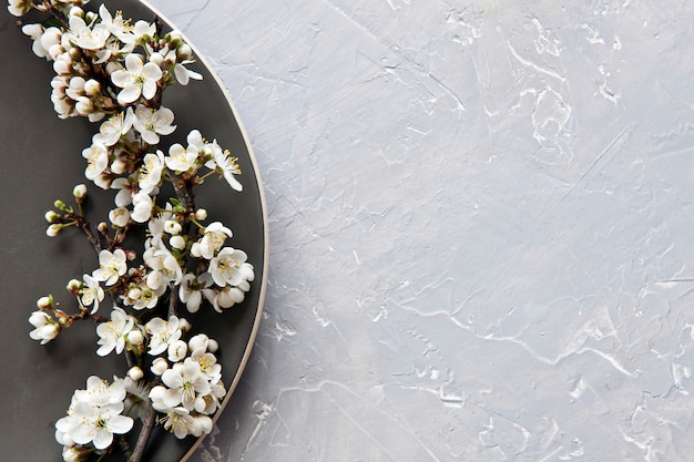 Close-up photo of beautiful white blooming flowers of cherry tree branch on grey plate 