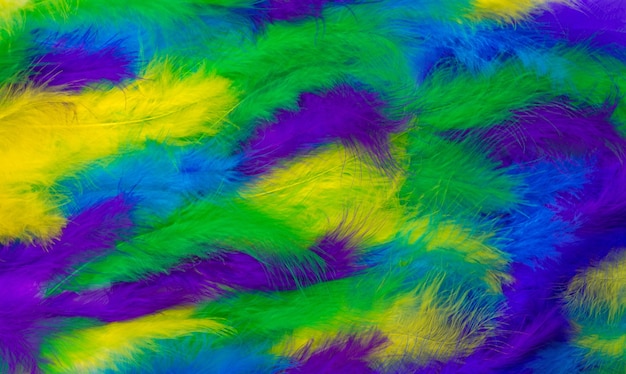 Close up photo of colorful pale of fluffy feathers.