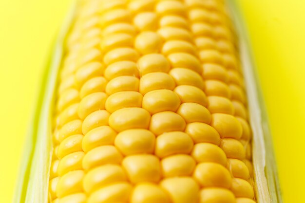 Close up photo image of young corn grains on yellow bright background