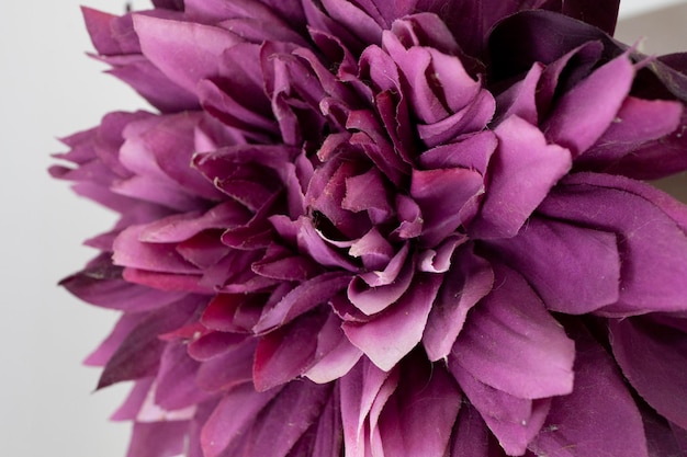 Close up photo of purpule paper flower