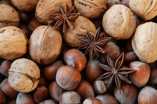 Close up photo of walnuts, hazelnuts and spices. 