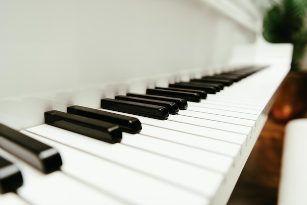 Close up of piano keys