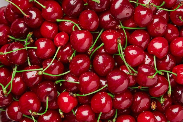 Close up of pile of ripe cherries with stalks and leaves. 