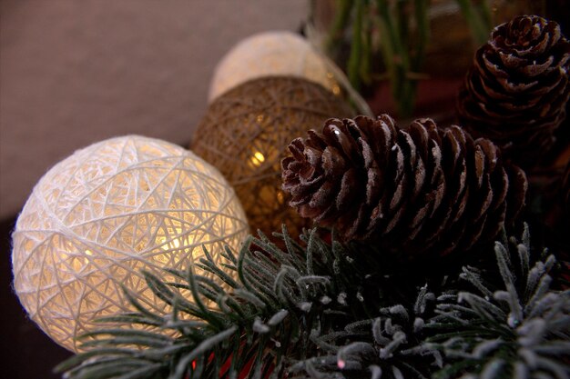 Photo close-up of pine cone