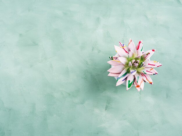 Photo close-up of pink flower floating on swimming pool