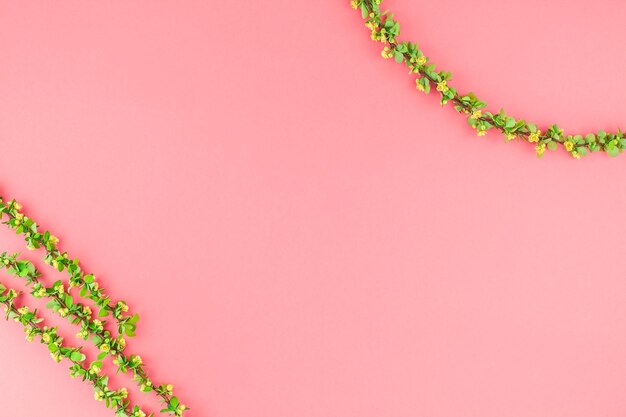 Close-up of pink flowering plant against wall