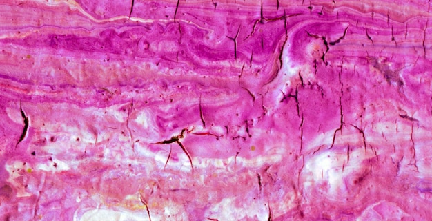 A close up of a pink and purple rock