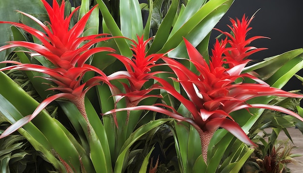 a close up of a plant with red flowers