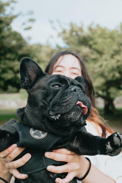 Close up portrait Funny portrait young woman holding in arms french bulldog during walkAdopt a dog