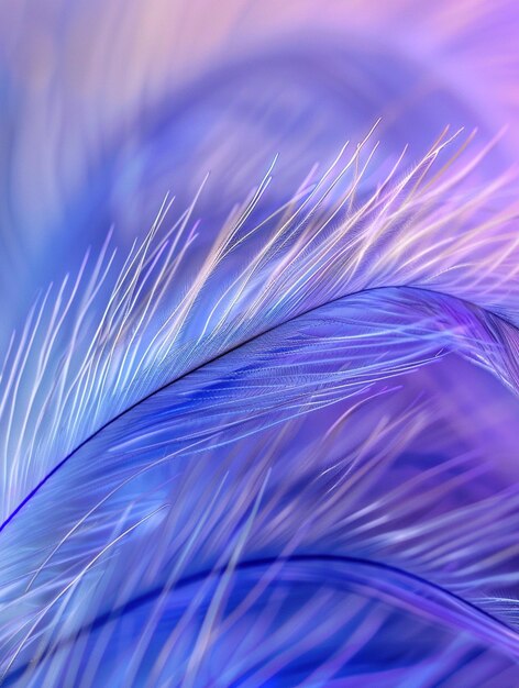 Close Up Portrait of a Vibrant Rooster Farm Animal Agriculture Rural Nature