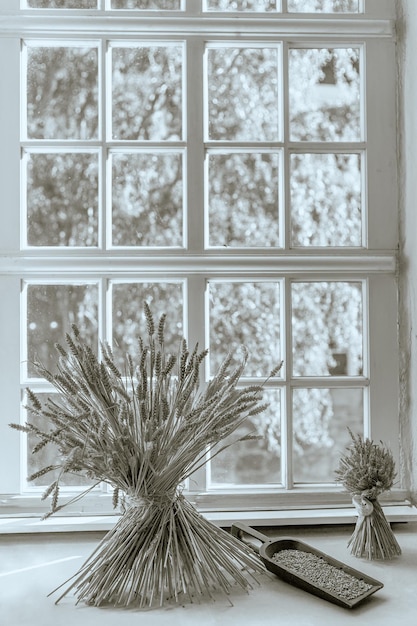 Close-up of potted plant on window sill