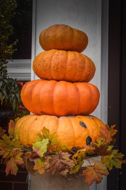 Close-up of pumpkin pumpkins during autumn