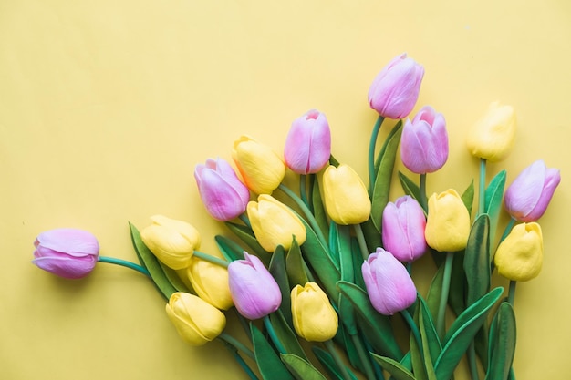 Close-up of purple tulips