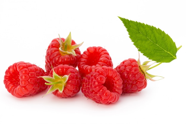 Close-up of raspberries on a bright background