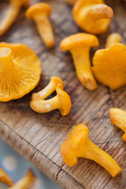 Close up of raw chanterelle mushrooms on wooden background.