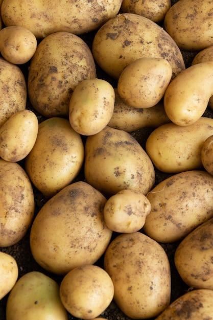 Close-up of raw fresh potatoes