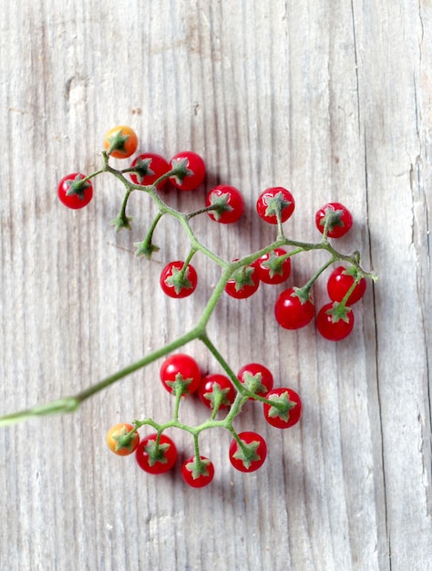 Close-up of red chili peppers on wood