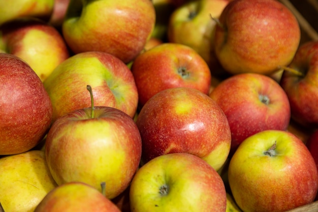 Close-up of red-green apples on supermarket counter