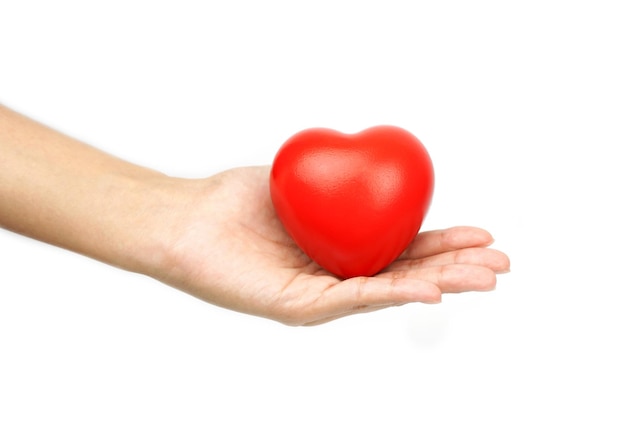 close up of Red heart in womens hands isolated on a white background Concept of charity health