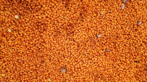 Close up of the red lentils