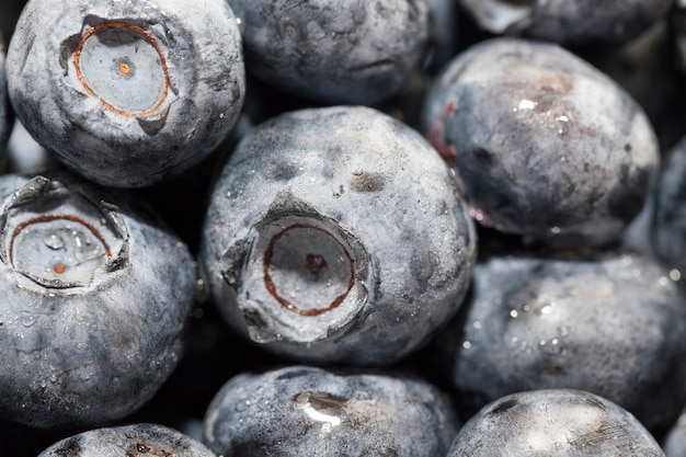 Close up on ripe blueberries