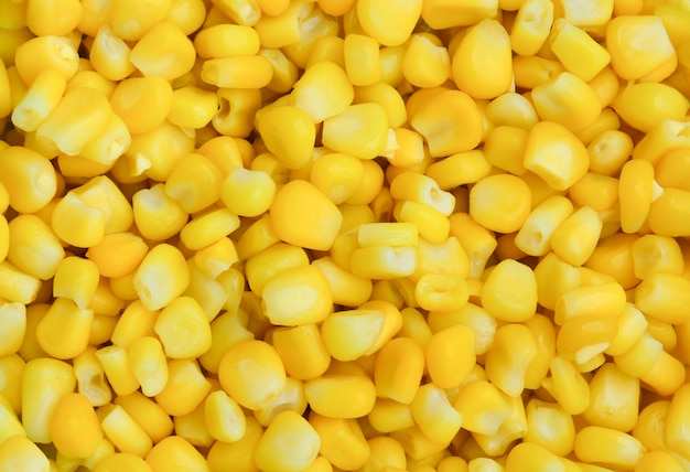 Close up of ripe yellow sweet corn grains for texture background