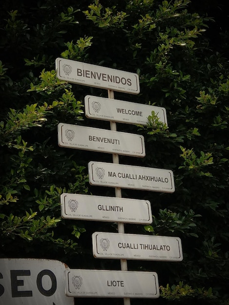 Photo close-up of road sign against plants