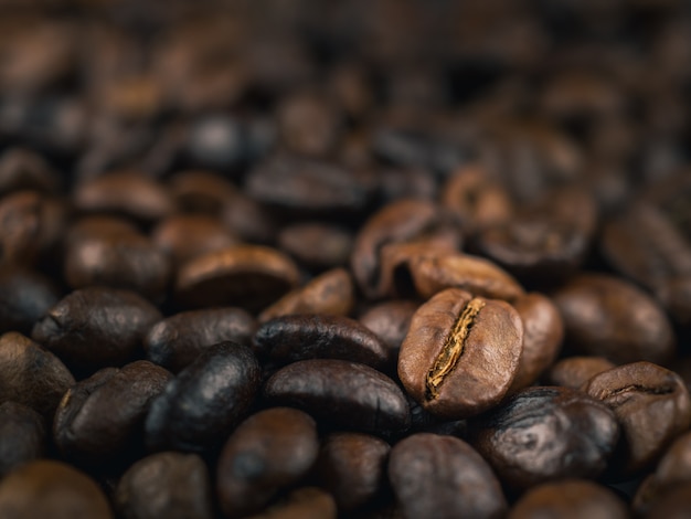 Close-up of roasted Thai coffee beans