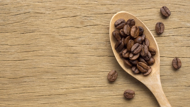 Close-up of roasted Thai coffee beans