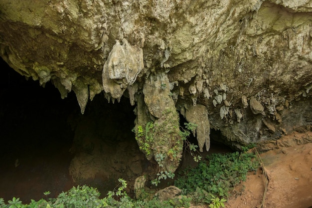 Close-up of rock formation in cave