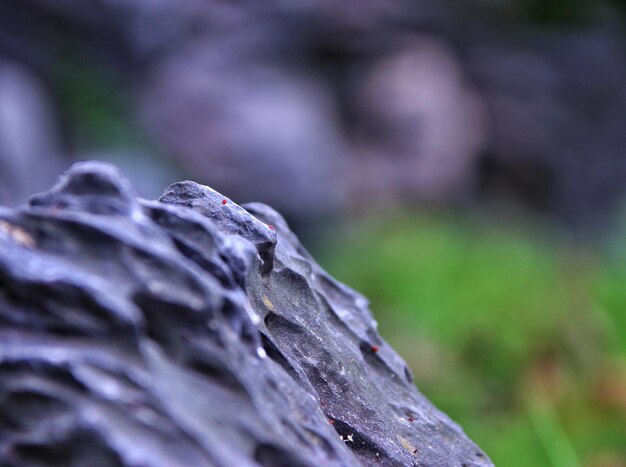 Close-up of rock