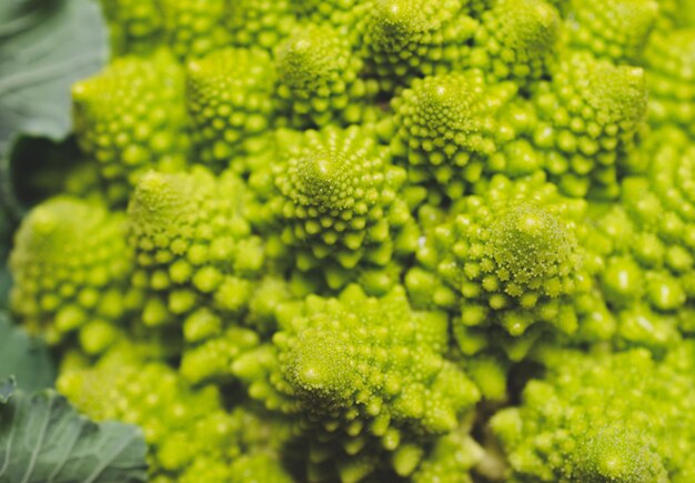 Close-up of a Romanesco broccoli with leaves