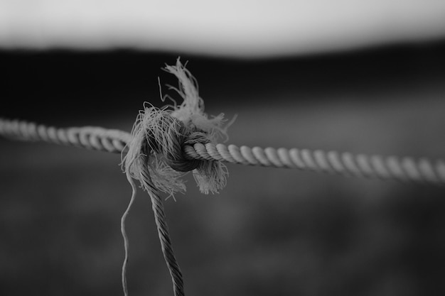 Photo close-up of rope tied to metal fence