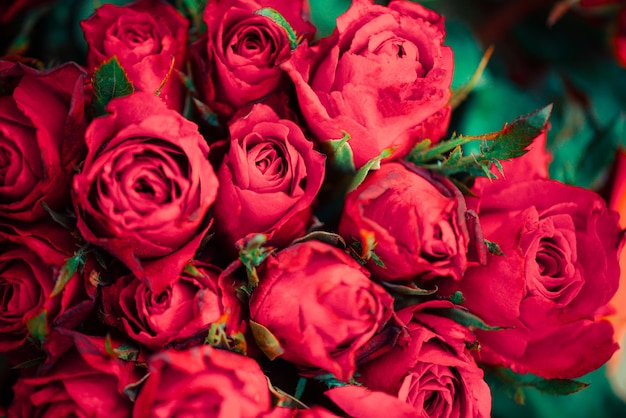 Close up of rose bouquet