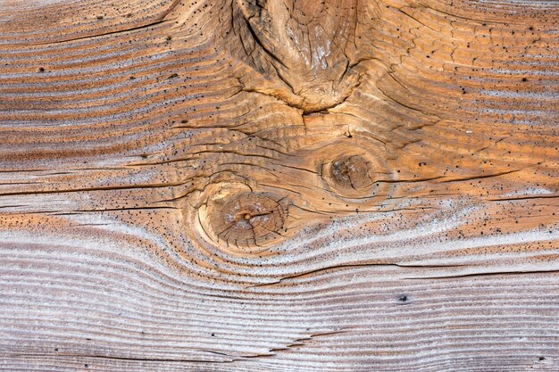 Close up on rustic wood planks background