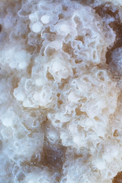 Close up salty sea shore background Evening sun shines on salt crystals formations clear green water near Picture at Dead Sea beach Israel Texture of Deadsea coastline Salt crystals at sunset