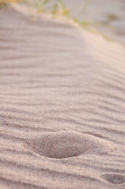 Close-up of sand at beach