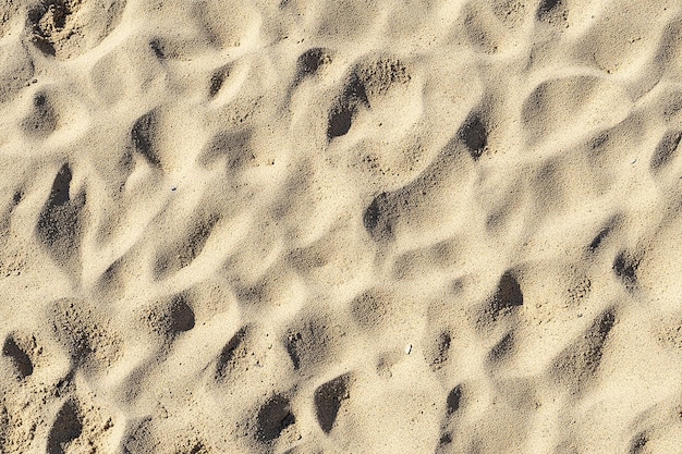 a close up of the sand with a bird in it